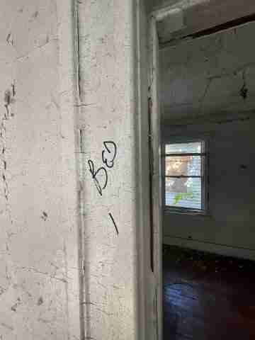 17257 bloom (24).jpg